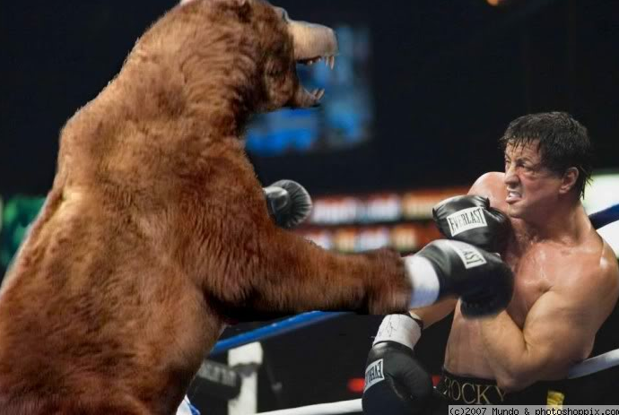 Инфинити надо boxing bear